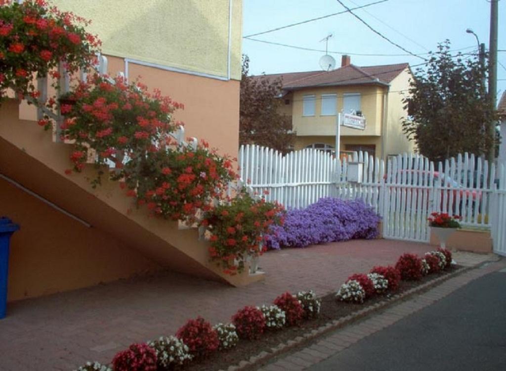 Sarkadi Apartman Hajduszoboszlo Exterior foto